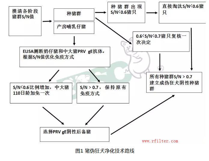 規模豬場如何凈化控制疫??？空氣過濾系統如何阻擋藍耳病毒株呢？